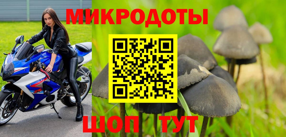 купить закладку  Вход с VPN  Галлюциногенные грибы Magic Shrooms  Вольск  Галлюциногенные грибы прущие грибы 
